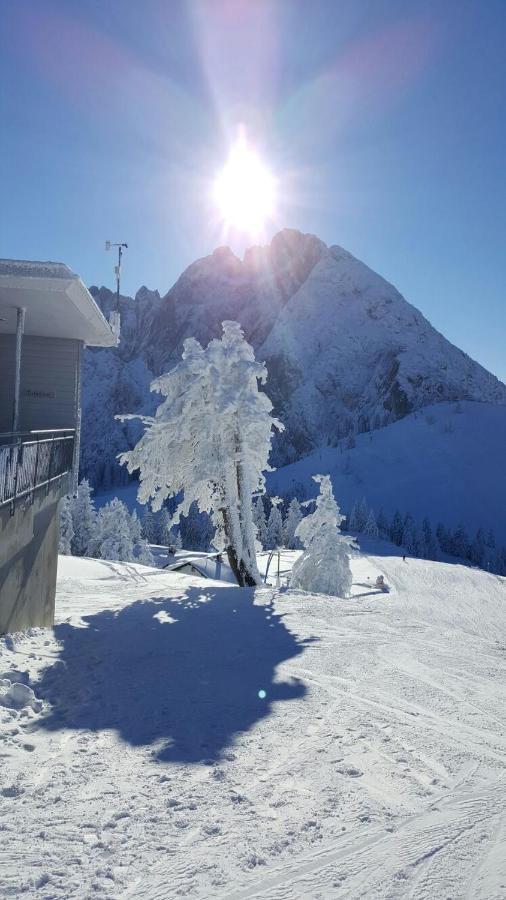 Gaestehaus Walpurga Russbach am Pass Gschütt Eksteriør bilde